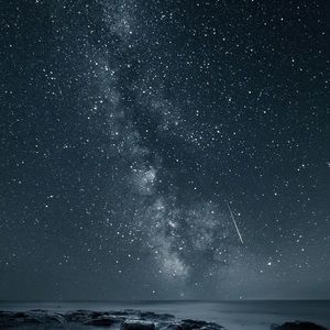 Meet your Posher, Caleb